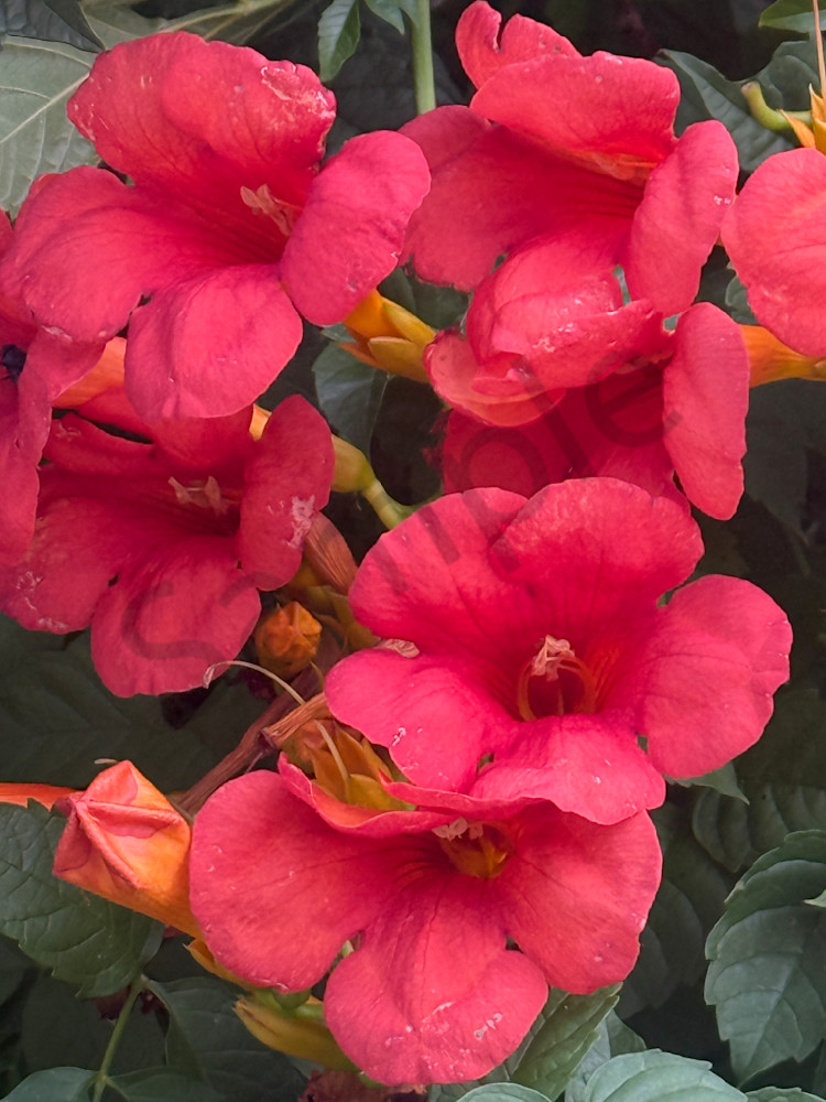 Img 5632 Art | MANN uP Art