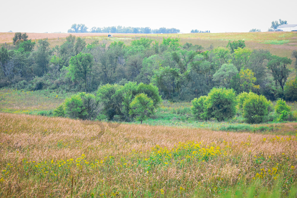 Dsc0043 4 Photography Art | Photos By Regan