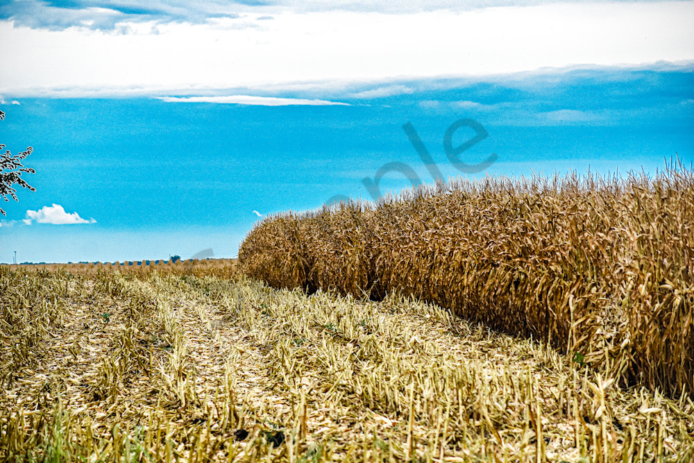 Dsc0036 Photography Art | Photos By Regan