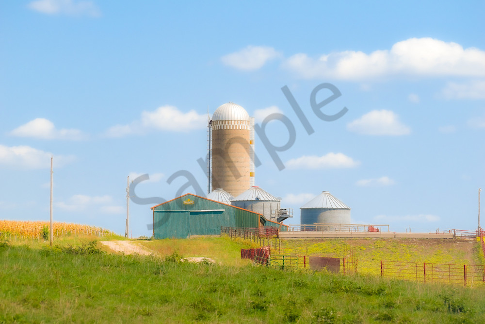 Dsc0016 Photography Art | Photos By Regan