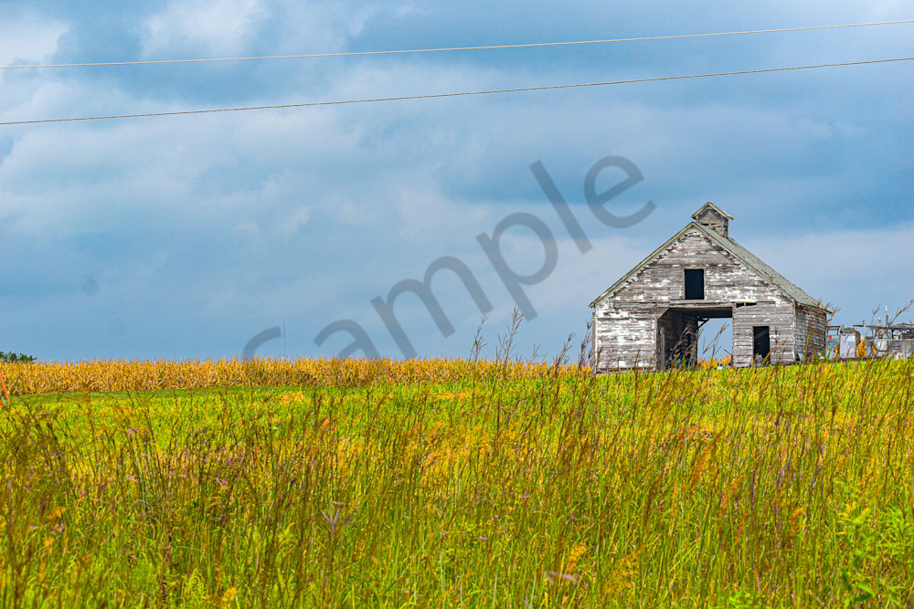 Dsc0135 Photography Art | Photos By Regan