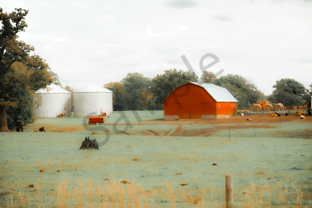 Dsc0133 3 Photography Art | Photos By Regan