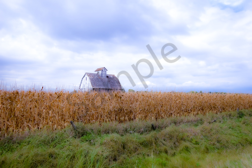 Dsc0141 2 Photography Art | Photos By Regan