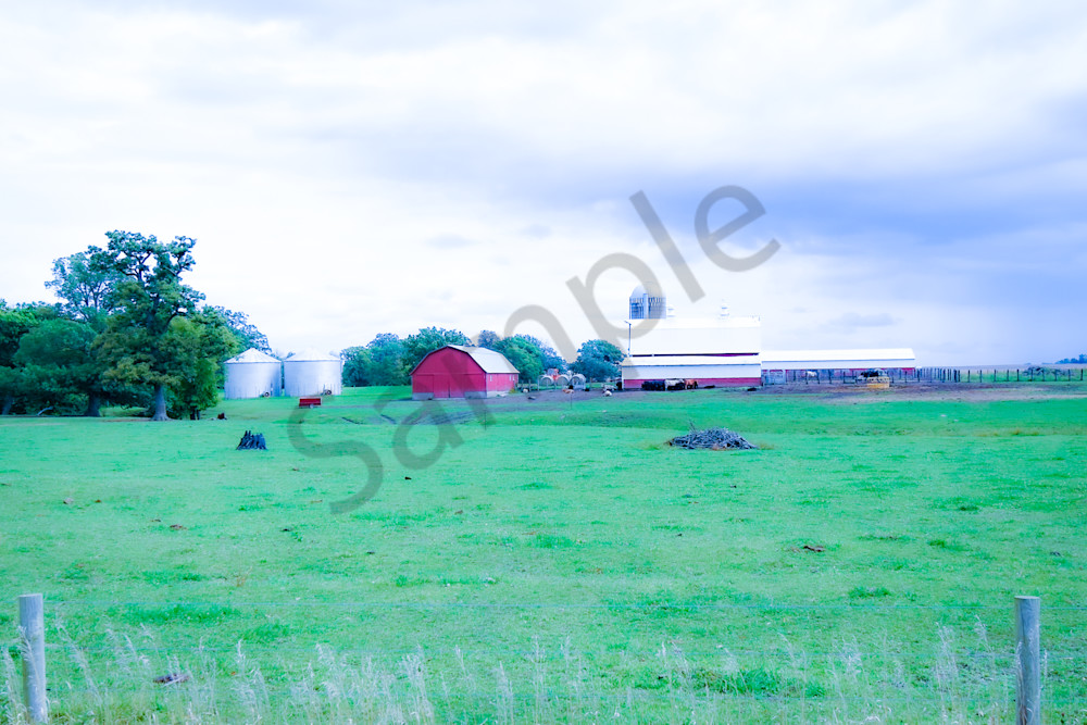 Dsc0138 2 Photography Art | Photos By Regan