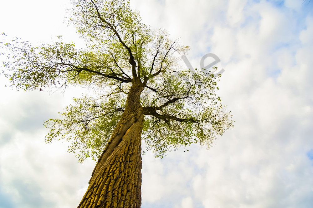 Dsc0033 3 Photography Art | Photos By Regan
