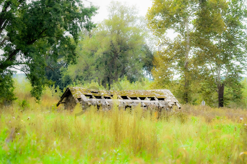 Dsc0028 2 Photography Art | Photos By Regan