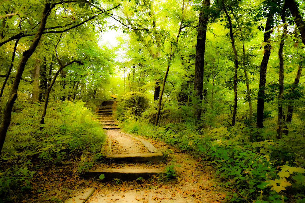 Dsc0025 3 Photography Art | Photos By Regan