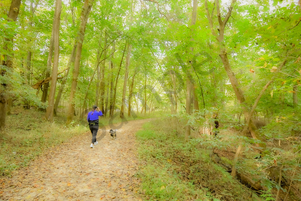 Dsc0001 2 Photography Art | Photos By Regan