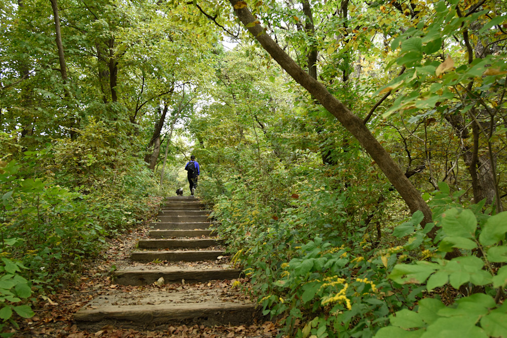 Dsc0022 2 Photography Art | Photos By Regan