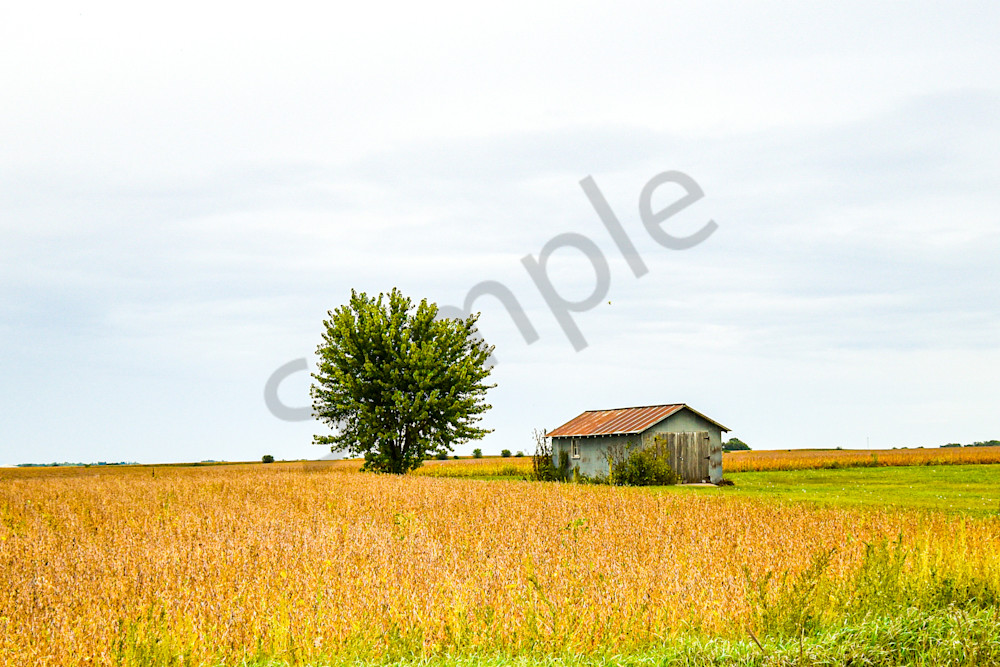 Dsc0024 3 Photography Art | Photos By Regan