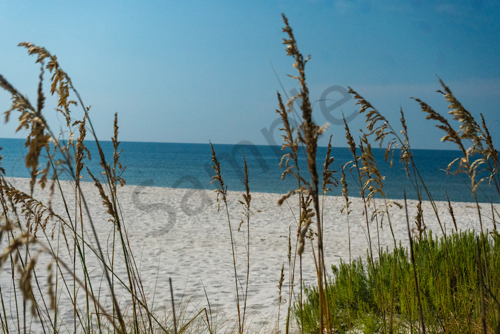 Gulf View from the Dunes - Dauphin Island Coast Print | bamaprice.com