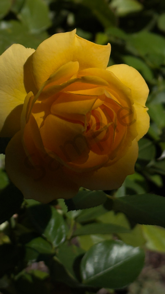 Yellow Darkness Art | MANN uP Art