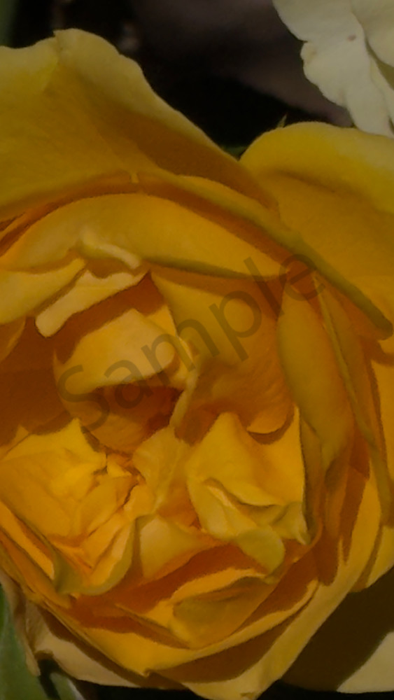 Yellow Art | MANN uP Art