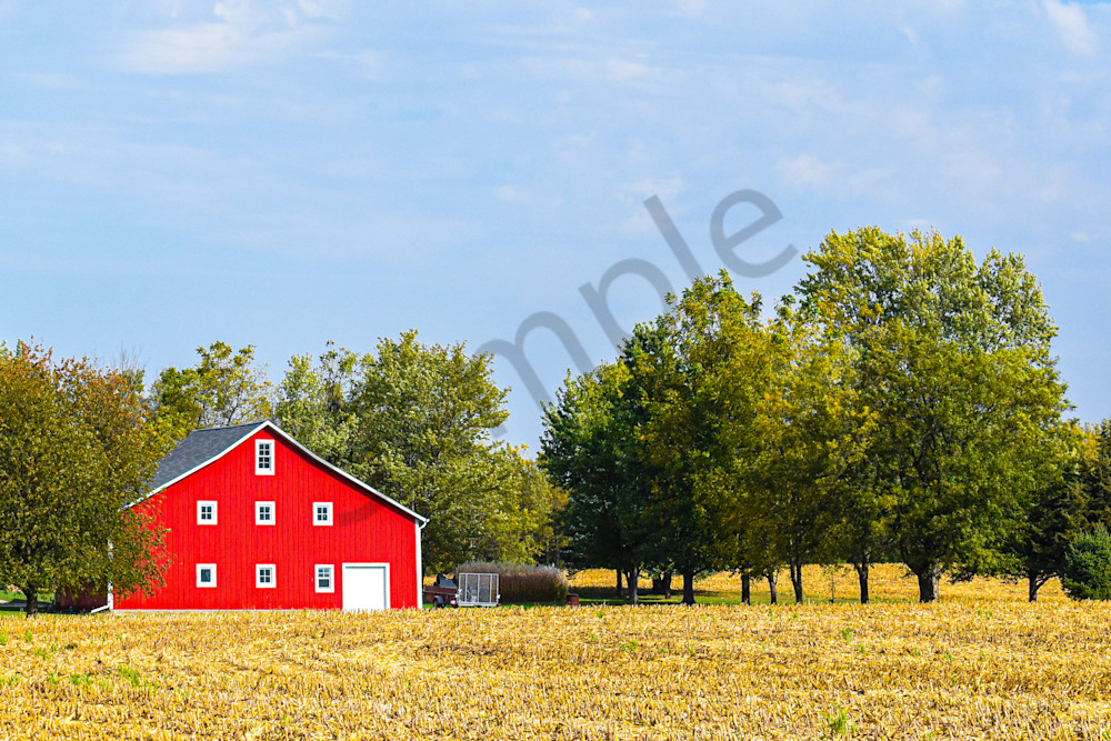 Dsc0016 3 Photography Art | Photos By Regan