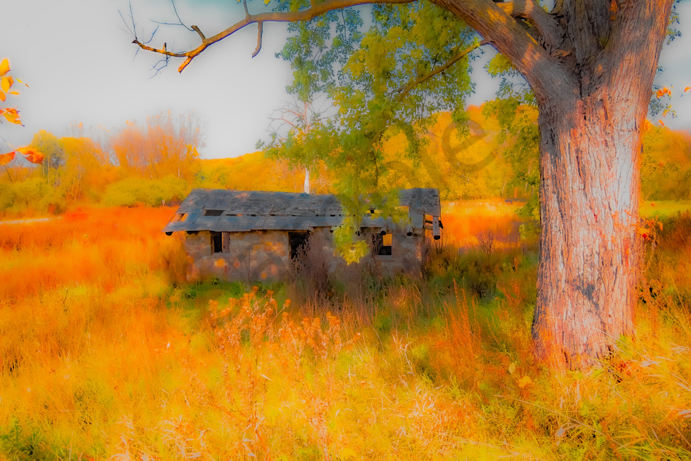 Dsc0068 2 Photography Art | Photos By Regan