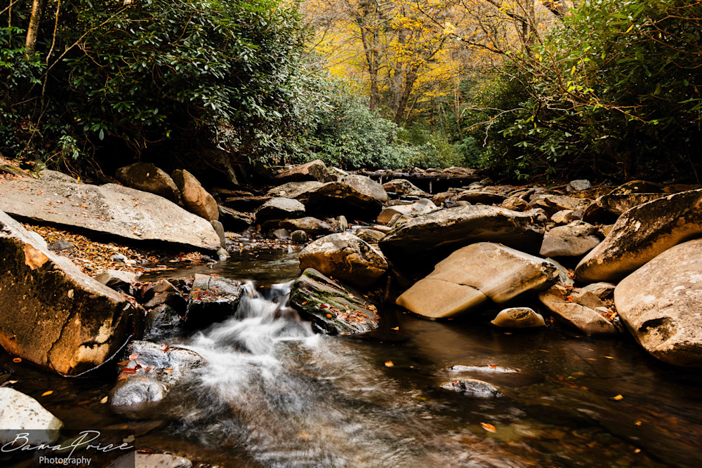 Little Pigeon's Wild Flow - Rocky Stream in the Autumn Smokies Print | www.bamaprice.com