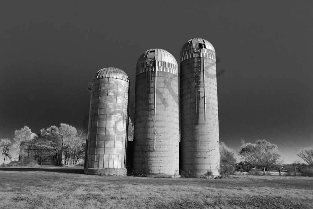 They Are Growing Up Fast Photography Art | Photos By Regan