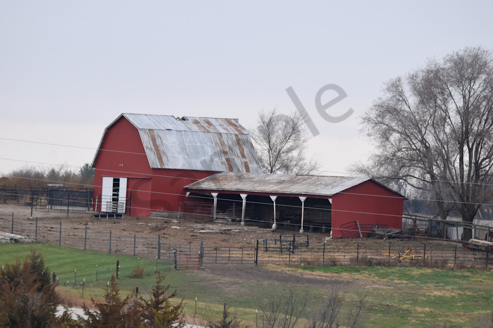 Dsc0128 2 Photography Art | Photos By Regan