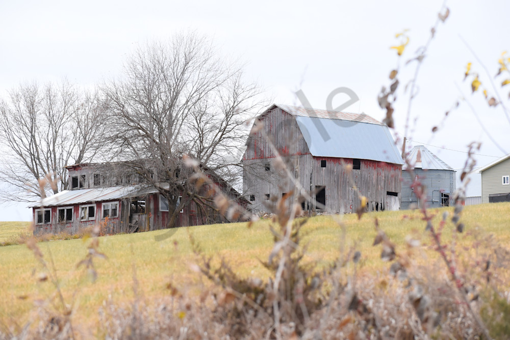 Dsc0101 Photography Art | Photos By Regan