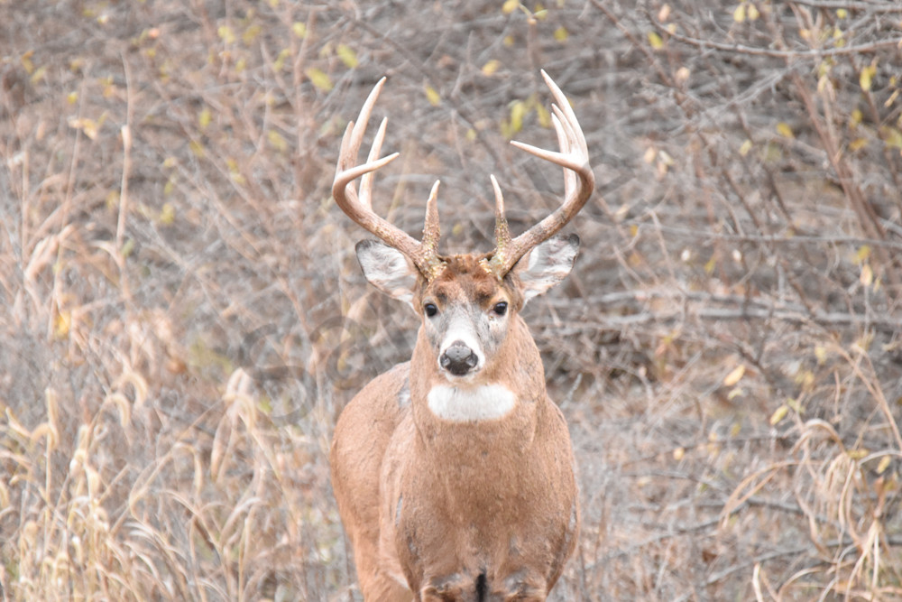 Dsc0204 Photography Art | Photos By Regan