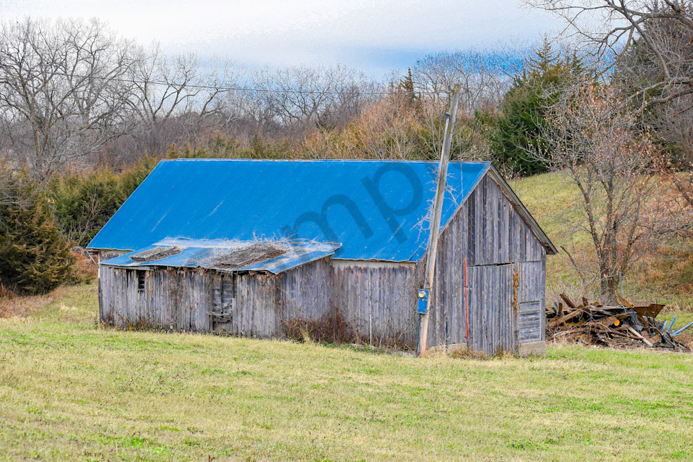 Dsc0074 3 Photography Art | Photos By Regan