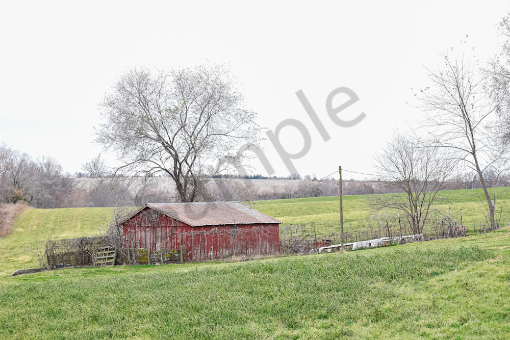Dsc0058 Photography Art | Photos By Regan
