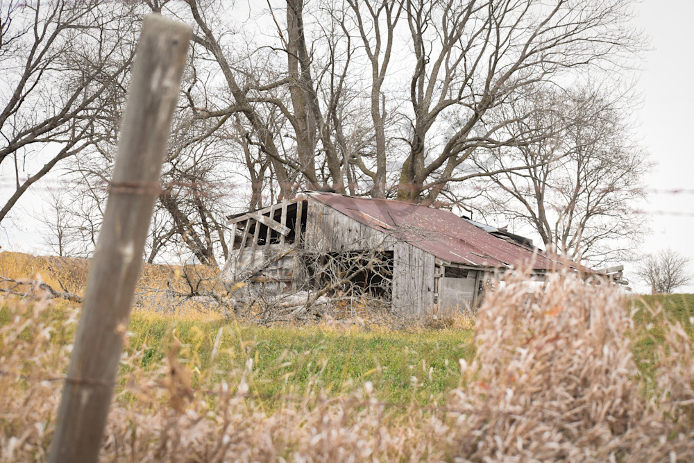 Dsc0064 2 Photography Art | Photos By Regan