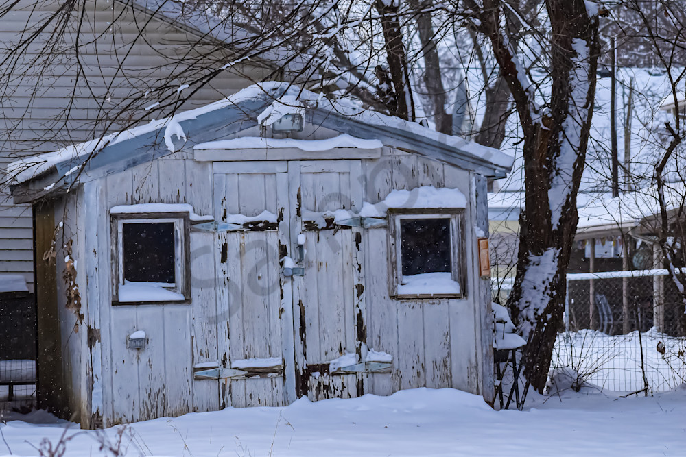 Dsc0006 10 Photography Art | Photos By Regan