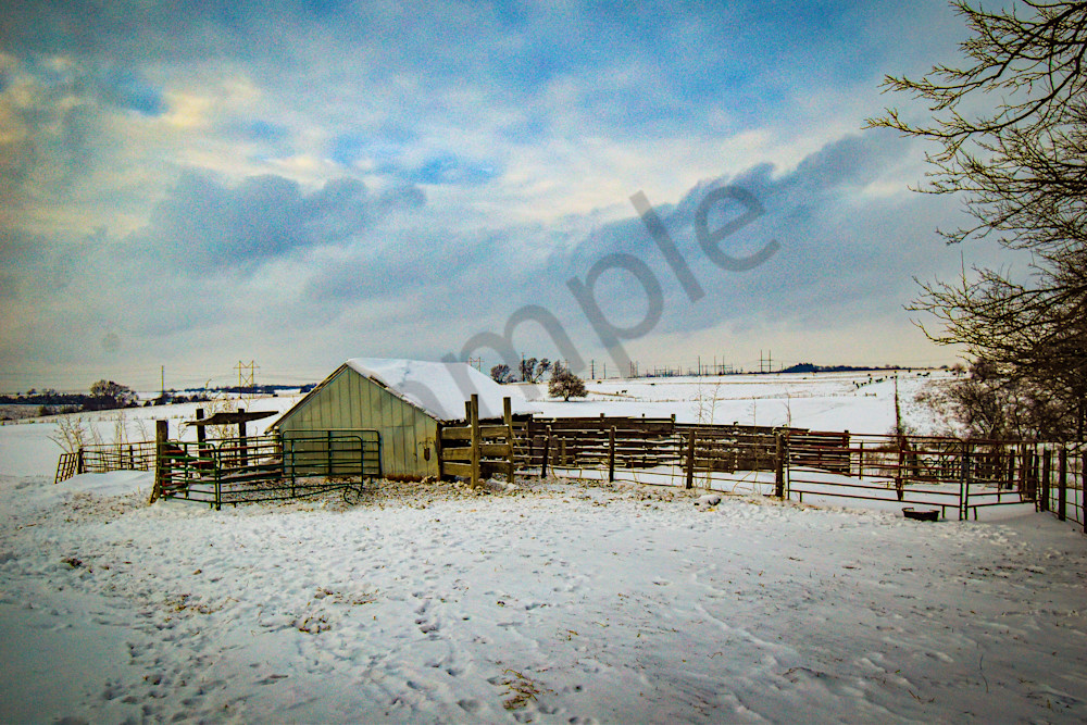 Dsc0117 2 Photography Art | Photos By Regan