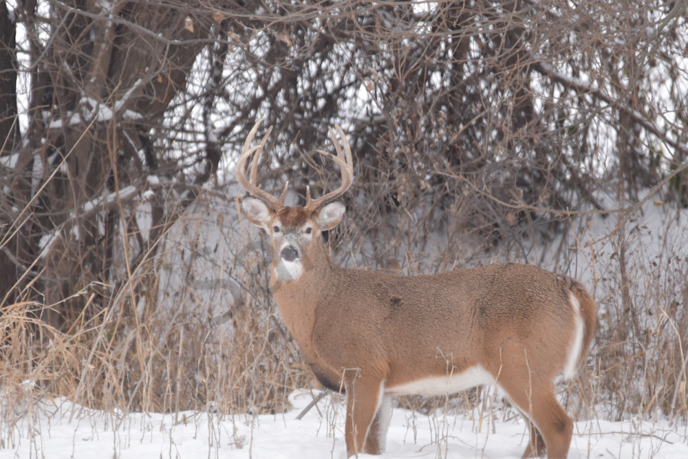 Dsc0147 Photography Art | Photos By Regan
