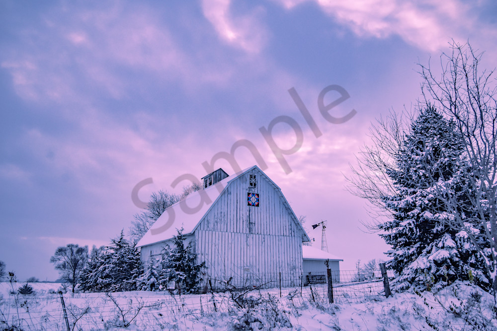 Dsc0047 4 Photography Art | Photos By Regan