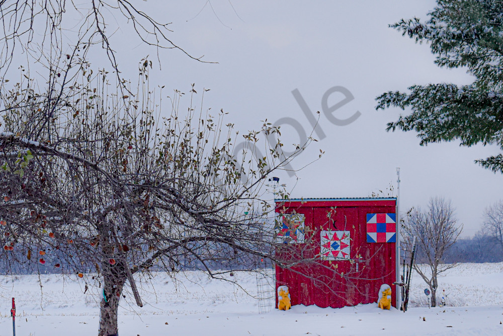 Dsc0051 3 Photography Art | Photos By Regan