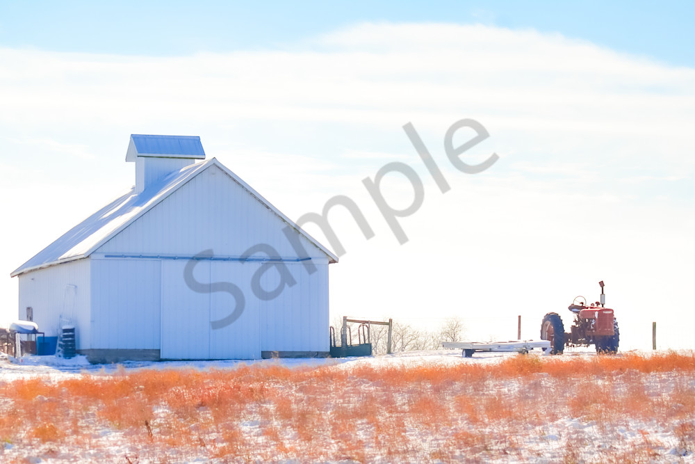 Dsc0079 7 Photography Art | Photos By Regan