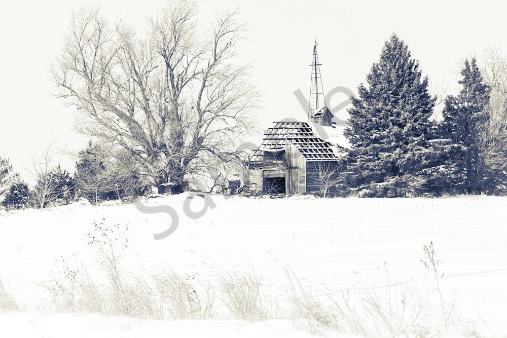 Dsc0037 2 Photography Art | Photos By Regan