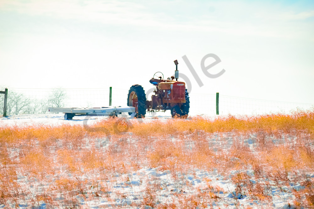 Dsc0078 3 Photography Art | Photos By Regan