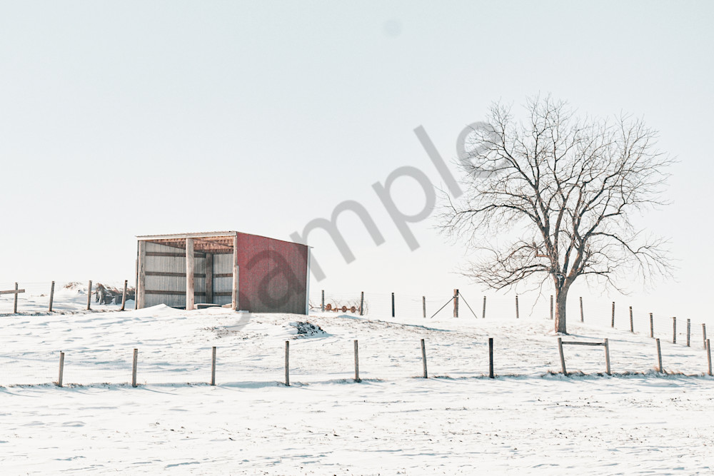 Dsc0055 2 Photography Art | Photos By Regan