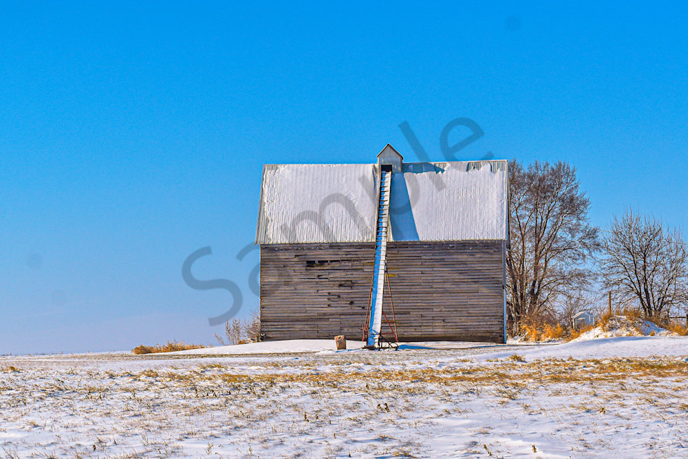 Dsc0051 4 Photography Art | Photos By Regan