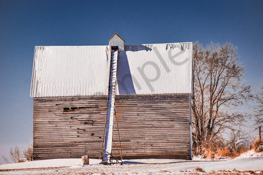 Dsc0053 3 Photography Art | Photos By Regan