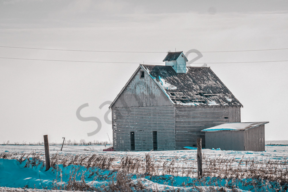 Dsc0048 4 Photography Art | Photos By Regan