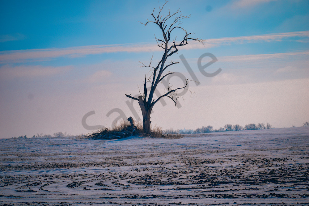 Dsc0038 2 Photography Art | Photos By Regan