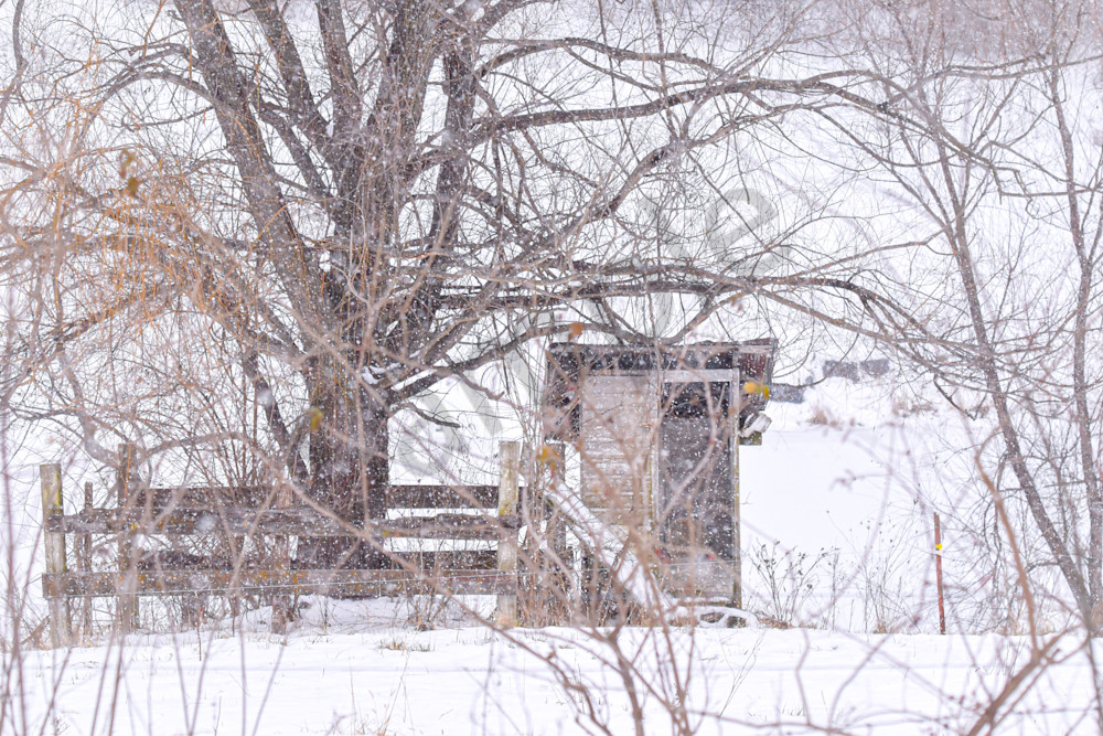 Dsc0010 7 Photography Art | Photos By Regan