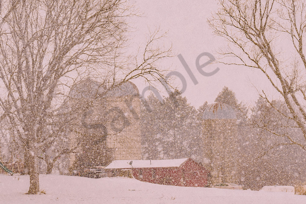 Dsc0014 7 Photography Art | Photos By Regan