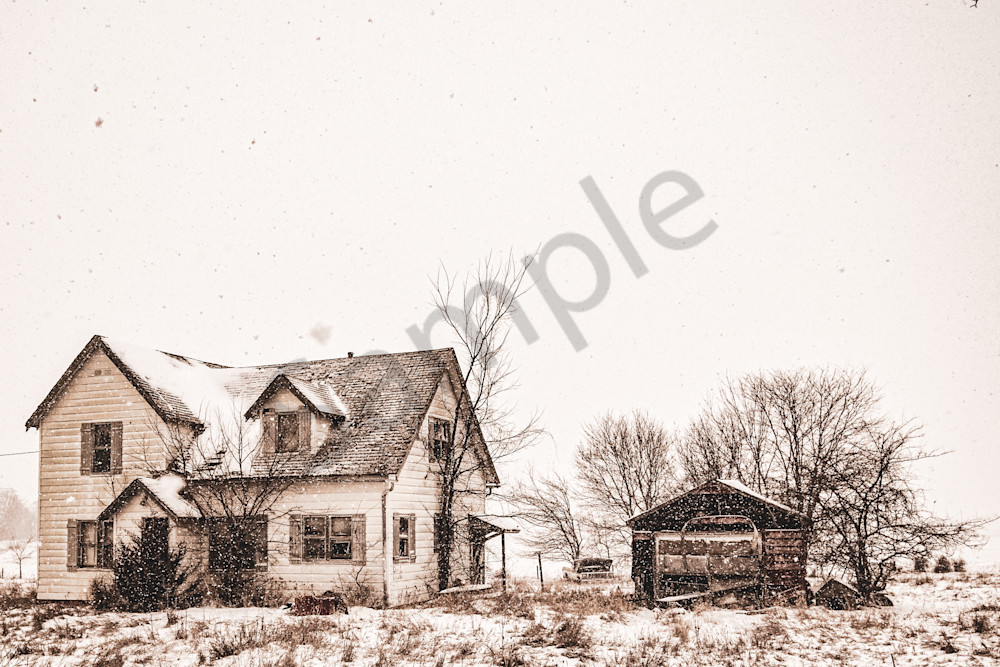 Dsc0016 7 Photography Art | Photos By Regan