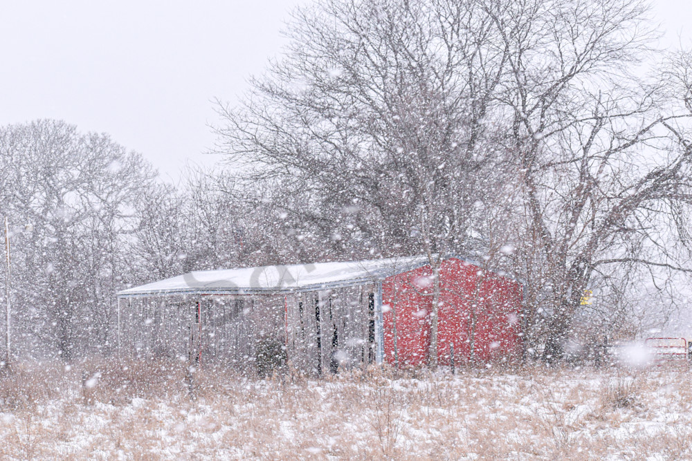 Dsc0019 5 Photography Art | Photos By Regan