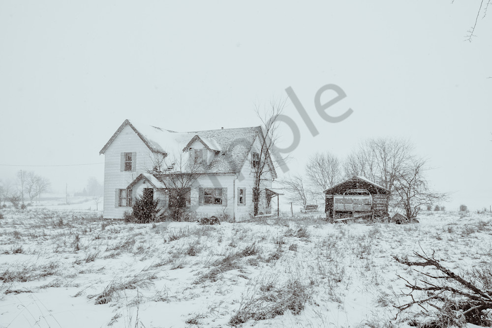 Dsc0017 3 Photography Art | Photos By Regan