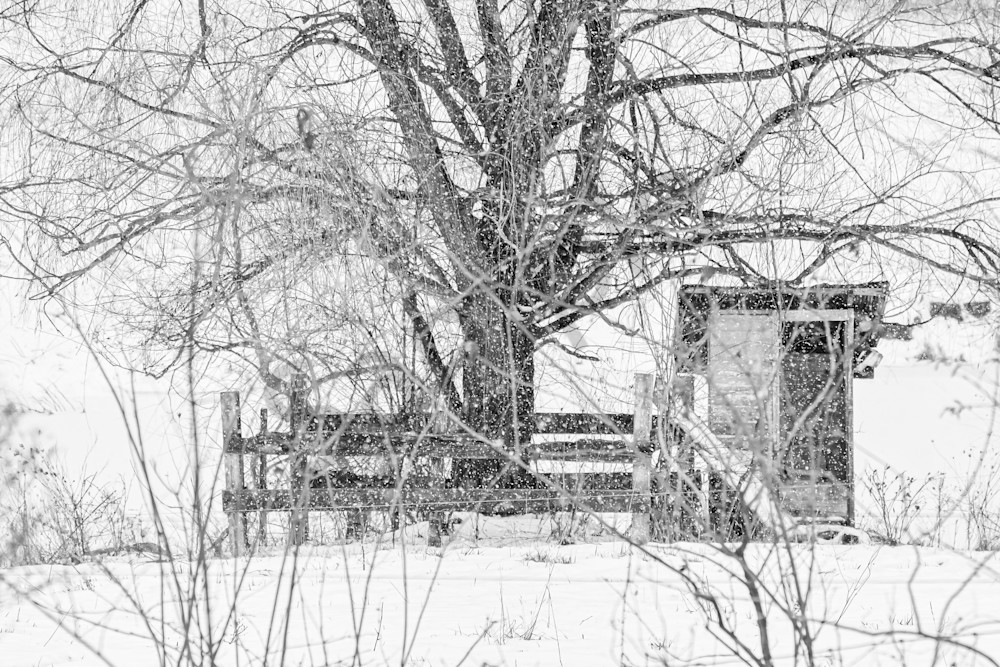 Dsc0009 6 Photography Art | Photos By Regan