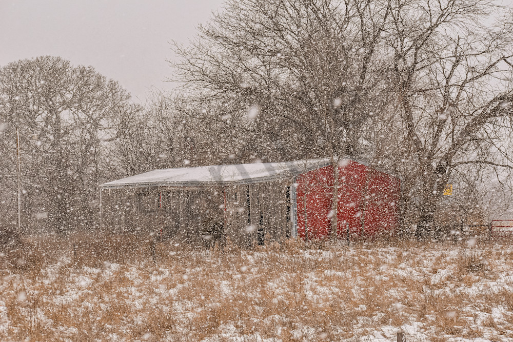 Dsc0020 2 Photography Art | Photos By Regan