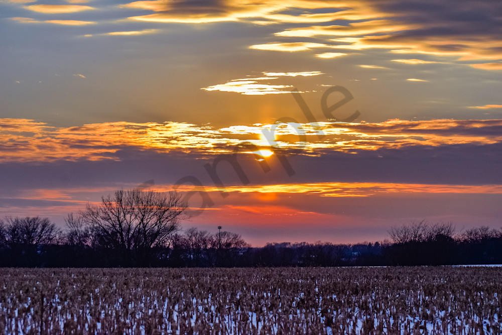 Dsc0074 4 Photography Art | Photos By Regan