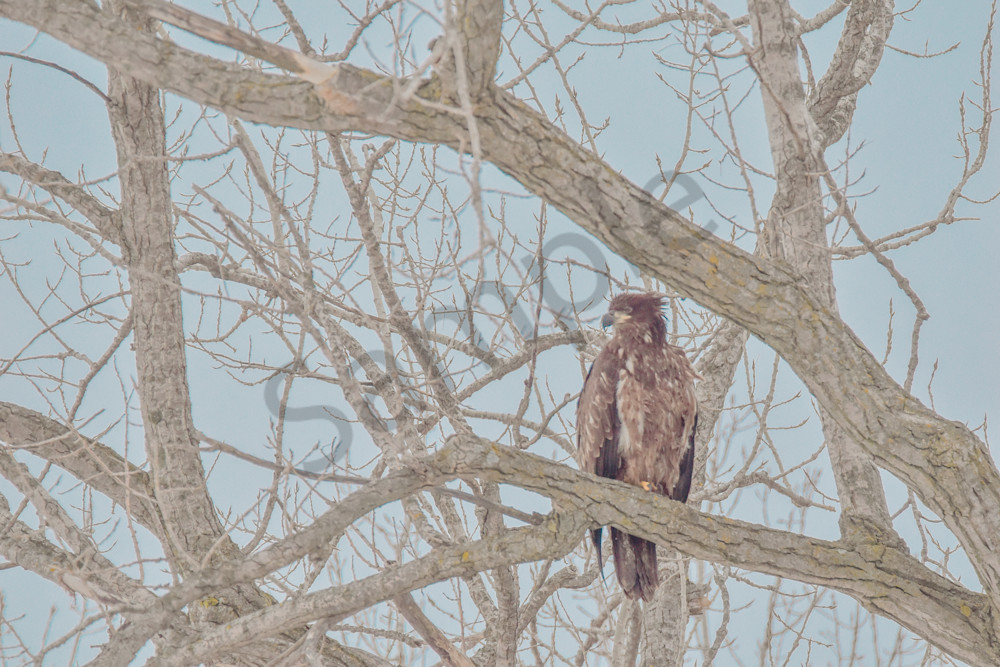 Dsc0009 7 Photography Art | Photos By Regan