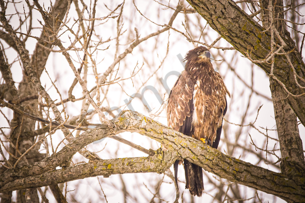 Dsc0044 2 Photography Art | Photos By Regan